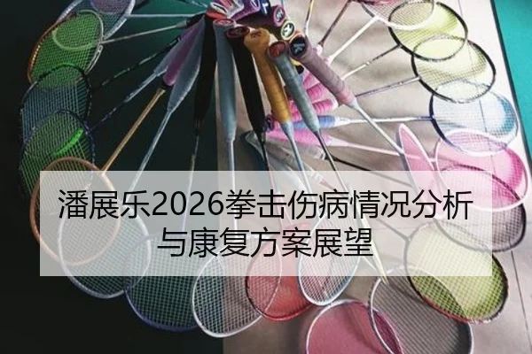 潘展乐2026拳击伤病情况分析与康复方案展望