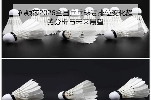 孙颖莎2026全国乒乓球赛排位变化趋势分析与未来展望